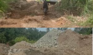 Tambang Emas Ilegal di Dekat SD Rantobi, Madina: Ancaman Lingkungan dan Lemahnya Penegakan Hukum