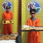 Polres Padangsidimpuan Gagalkan Peredaran Ganja, 2 Tersangka Diamankan dalam Operasi Terpisah