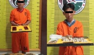 Polres Padangsidimpuan Gagalkan Peredaran Ganja, 2 Tersangka Diamankan dalam Operasi Terpisah