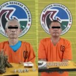Polres Padangsidimpuan Ungkap Dua Pengedar Ganja dalam Operasi Terpisah, 129 Gram Narkotika Disita