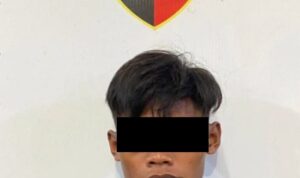 Polsek Nongsa Gagalkan Aksi Eksibisionis di Batam, Pelaku Terancam Hukuman 10 Tahun Penjara