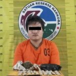 Pengedar Narkotika di Padangsidimpuan Diciduk Polisi, 67,84 Gram Ganja Disita