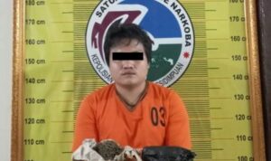 Pengedar Narkotika di Padangsidimpuan Diciduk Polisi, 67,84 Gram Ganja Disita