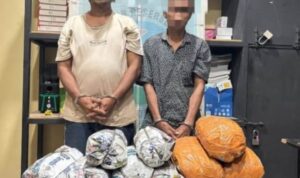 18 Kg Ganja Siap Edar Digagalkan Satresnarkoba Polres Pidie Jaya