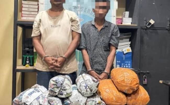 18 Kg Ganja Siap Edar Digagalkan Satresnarkoba Polres Pidie Jaya