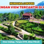 Ngopi Malam di Puncak: Suasana Sejuk dan Pemandangan Mempesona