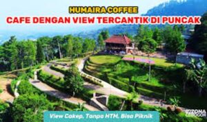 Ngopi Malam di Puncak: Suasana Sejuk dan Pemandangan Mempesona