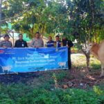 Idul Adha 1446 H, PT SMGP Serahkan Enam Ekor Sapi Kurban untuk Warga Mandailing Natal