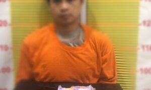 Polisi Tapsel Tangkap Pengedar Sabu di Perkebunan Sawit PTPN III Batang Toru