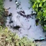 Sumur Minyak Ilegal Cemari Lingkungan, Warga Desa Kali Berau Resah, Polsek Cuma Bisa Pasang Spanduk