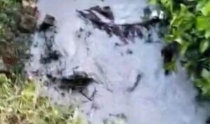 Sumur Minyak Ilegal Cemari Lingkungan, Warga Desa Kali Berau Resah, Polsek Cuma Bisa Pasang Spanduk