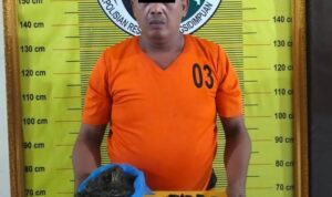 Penarik Becak di Padangsidimpuan Tertangkap Bawa Ganja dari Madina