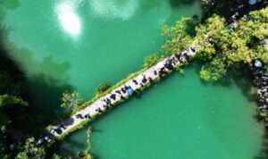 Guizhou Bangun Zona Percontohan Ekologi: Dari Kawasan Eksperimen Menuju Model Nasional Pembangunan Hijau