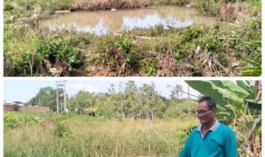 Lahan Warga di Gesek Rusak Akibat Peternakan, Pemerintah Diam