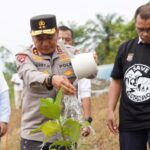 Kapolda Riau Dukung Gerakan Hijau: 300 Pohon Ditanam di Kampus Unilak Bersama PLN