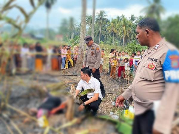 Lansia Di Paluta Meninggal Tragis Terbakar Di Kebun Pisang Diduga Akibat Api Yang Membesar