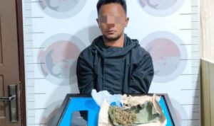 Berawal dari Laporan Warga, Polisi Ungkap Kepemilikan Ganja di Bener Meriah