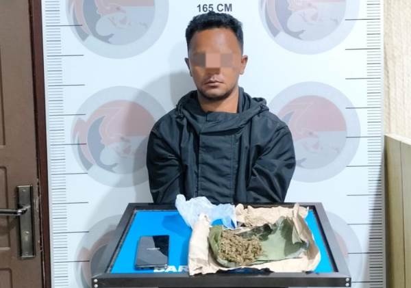 Pemilik Daun Ganja