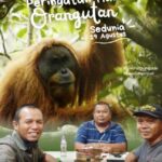 FOKAT Resmi Dibentuk di Tapanuli Selatan, Fokus Konservasi Orangutan Tapanuli dan Ekosistem Batangtoru