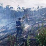 Polres Tapanuli Selatan Padamkan Karhutla di Tiga Desa Saipar Dolok Hole
