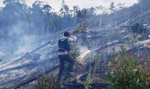Polres Tapanuli Selatan Padamkan Karhutla di Tiga Desa Saipar Dolok Hole