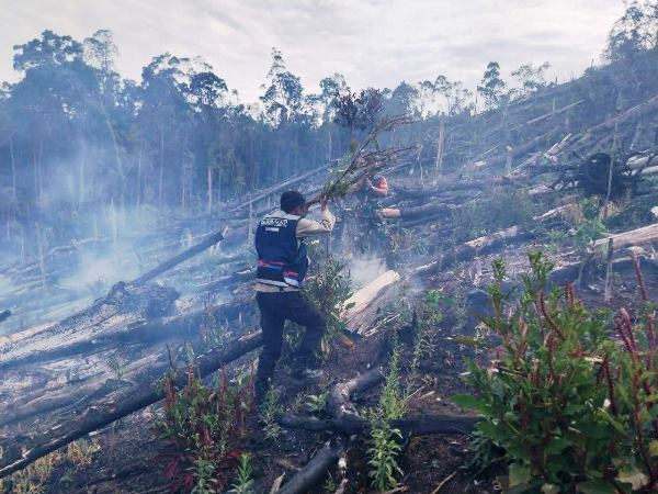 Polres Tapanuli Selatan Padamkan Karhutla Di Tiga Desa Saipar Dolok Hole