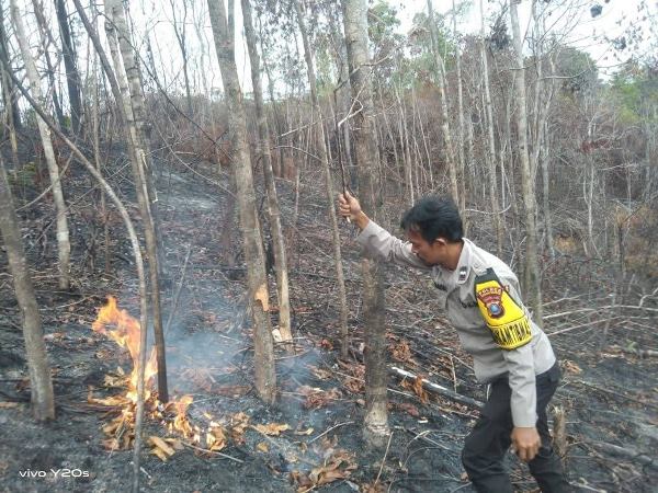 Polres Tapanuli Selatan Padamkan Karhutla Di Tiga Desa Saipar Dolok Hole1