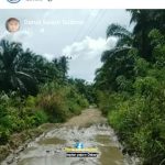 Kreator Konten Tapsel Soroti Jalan Rusak di Sibara-bara, Warga Minta Perhatian Pemkab