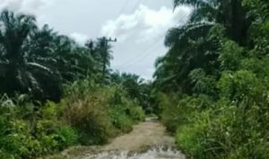Kreator Konten Tapsel Soroti Jalan Rusak di Sibara-bara, Warga Minta Perhatian Pemkab