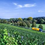 Dachser Perluas Layanan Logistik Wine dan Spirits di Asia Pasifik