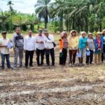 Desa Tindoan Laut Jadi Pelopor Program Ketahanan Pangan dengan Penanaman Jagung