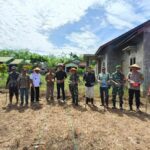 Kades Perkebunan Bersama Forkopimca dan Masyarakat Tanam Jagung untuk Ketahanan Pangan di Tapsel
