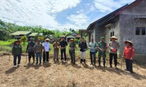 Kades Perkebunan Bersama Forkopimca dan Masyarakat Tanam Jagung untuk Ketahanan Pangan di Tapsel
