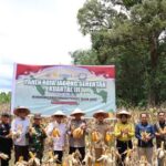 Bupati Gus Irawan bersama Ketua DPRD Tapsel Hadiri Panen Raya Jagung di Batang Toru, Dorong Swasembada Pangan