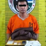 Polres Padangsidimpuan Tangkap Pengedar Sabu, Amankan Barang Bukti 38,25 Gram