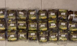 Sabu 24,6 Kg Diselundupkan dalam Kemasan Prince Durian, Polisi Tangkap Kurir