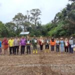 Pemkab Tapsel dan Desa se-Kecamatan Marancar Kompak Sukseskan Program Ketahanan Pangan