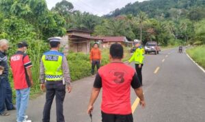 Tragedi di Tapanuli Selatan, Siswa SD Tewas Tertabrak Mobil Saat Berangkat Sekolah
