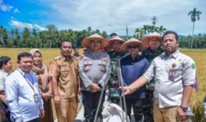 Padangsidimpuan Wujudkan Astacita Presiden: Surplus 300% Beras, Wali Kota Tetapkan LP2B dan KP2B