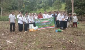 Budidaya Jagung dan Lele Situmbaga Dukung Program Ketahanan Pangan