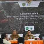 Upaya Pelestarian Orang Utan Tapanuli Dapat Dukungan Dari Konsultasi Publik, Hasil Studi Koridor Ekosistem Batangtoru