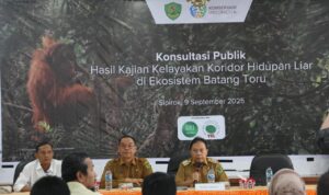 Upaya Pelestarian Orang Utan Tapanuli Dapat Dukungan Dari Konsultasi Publik, Hasil Studi Koridor Ekosistem Batangtoru