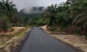 Pemkab Tapsel Sukses Perbaiki Jalan Gua Asom – Danau Siais, Warga Apresiasi Kepemimpinan Gus Irawan