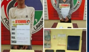 Dua Pengedar Sabu Lintas Sumut-Riau Dibekuk Satresnarkoba Padang Lawas