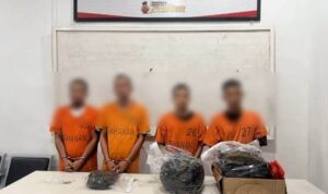 Empat Pengedar Ganja dan Sabu Ditangkap dalam Sehari oleh Polres Tapanuli Selatan Empat Pengedar Ganja dan Sabu Ditangkap dalam Sehari oleh Polres Tapanuli Selatan
