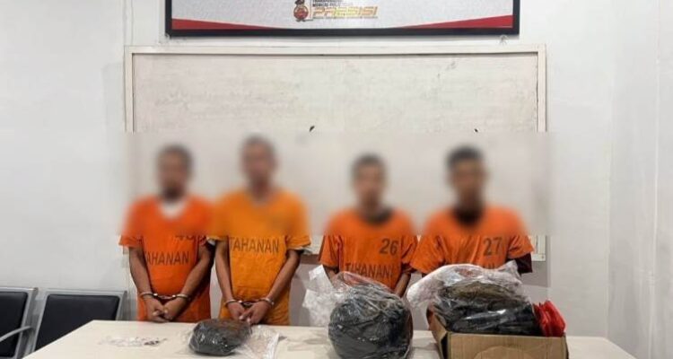 Empat Pengedar Ganja dan Sabu Ditangkap dalam Sehari oleh Polres Tapanuli Selatan