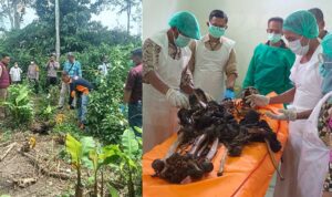 Misteri Penemuan Kerangka Manusia di OKU Selatan, Polisi Tunggu Hasil Labfor