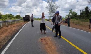 Kecelakaan Maut di Teluk Bintan: Pemotor Tewas Usai Tabrak Truk di Tanjakan Jalan Lintas Barat