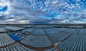 Industri Spirulina China Perluas Pasar Global, Dorong Manfaat Kesehatan dan Gizi Industri Spirulina China Perluas Pasar Global, Dorong Manfaat Kesehatan dan Gizi