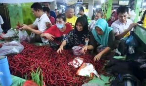 Pemprov Sumut Gerak Cepat Kendalikan Inflasi, Datangkan 50 Ton Cabai dari Jawa Timur Pemprov Sumut Gerak Cepat Kendalikan Inflasi, Datangkan 50 Ton Cabai dari Jawa Timur